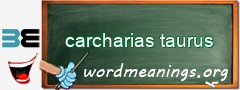 WordMeaning blackboard for carcharias taurus